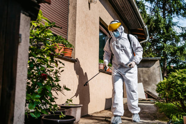 Best Ant Control Services  in Lancaster, OH