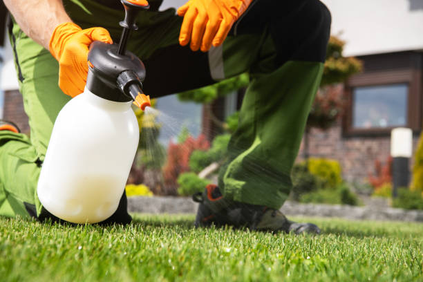 Best Pest Control Near Me  in Lancaster, OH