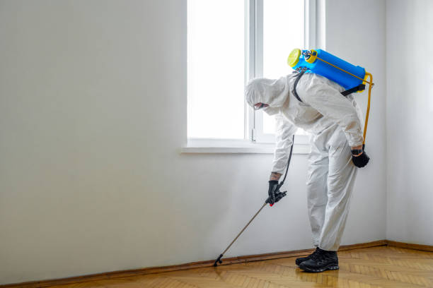 Insect Control in Lancaster, OH