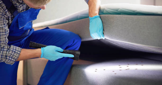 Best Best Pest Control Companies  in Lancaster, OH