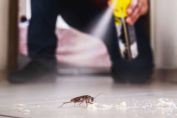 Best Flea Control Services  in Lancaster, OH