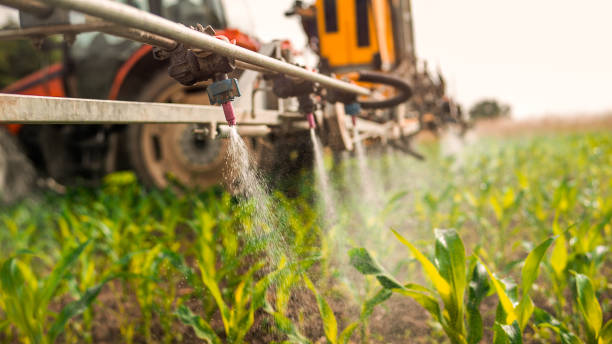 Best Commercial Pest Control Services  in Lancaster, OH